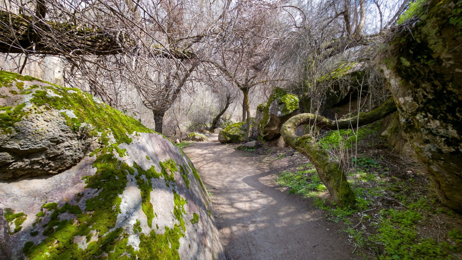 The riverside path through the Ihlara canyon in early spring, moss on the boulders and the trees still bare